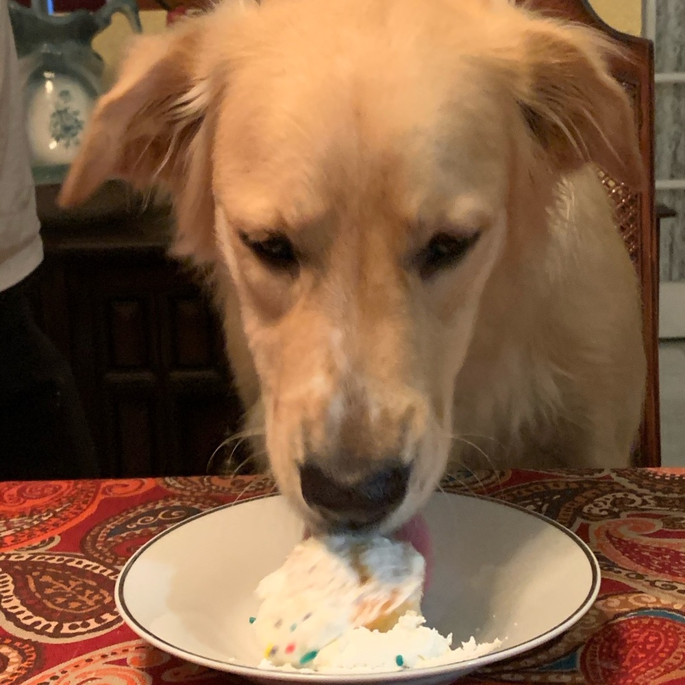 Meet your Posher, Bobbi